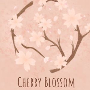 Meet your Posher, Zain